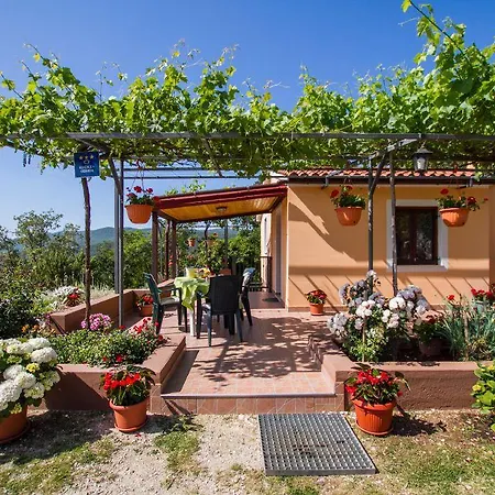 Hébergement de vacances House And In Labin 8758